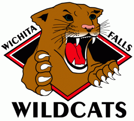 Wichita Falls Wildcats 2004 05-2008 09 primary logo iron on transfers for clothing